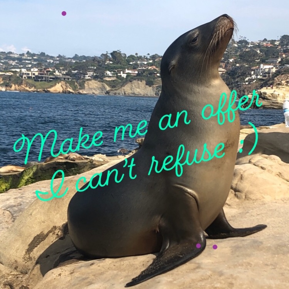 Make me an offer!
